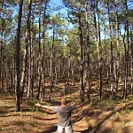 Riaencontros- T4 Junto Ria E Pinhal Villa *