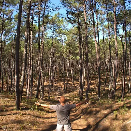 Riaencontros- T4 Junto Ria E Pinhal Willa *