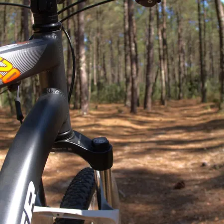 Riaencontros- T4 Junto Ria E Pinhal Villa *