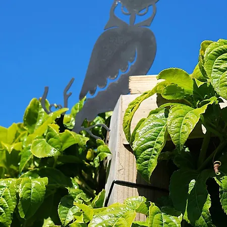 Riaencontros- T4 Junto Ria E Pinhal Willa Aveiro