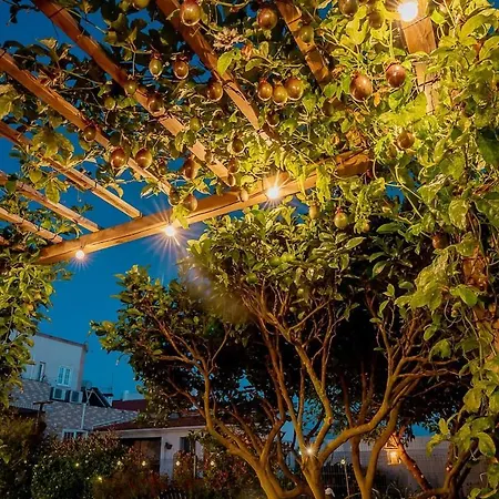 Riaencontros- T4 Junto Ria E Pinhal