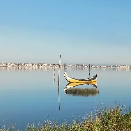 Riaencontros- T4 Junto Ria E Pinhal Aveiro