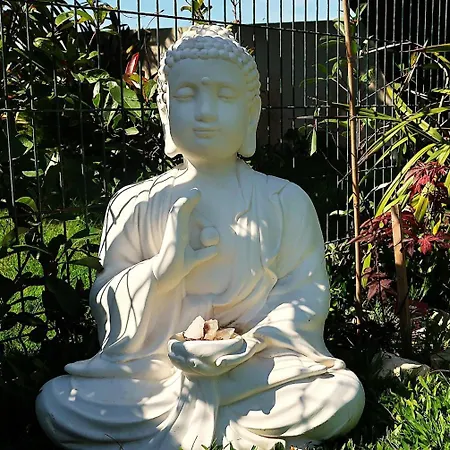 Riaencontros- T4 Junto Ria E Pinhal