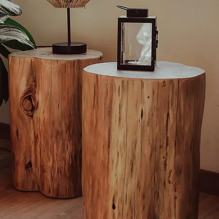 Riaencontros- T4 Junto Ria E Pinhal Willa *