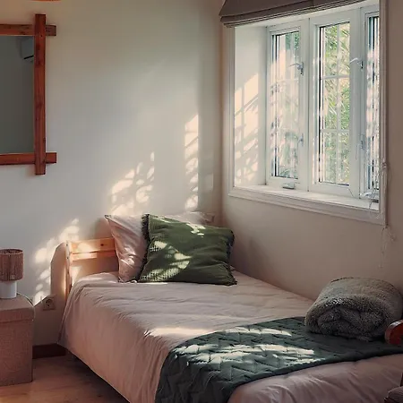 Willa Riaencontros- T4 Junto Ria E Pinhal *