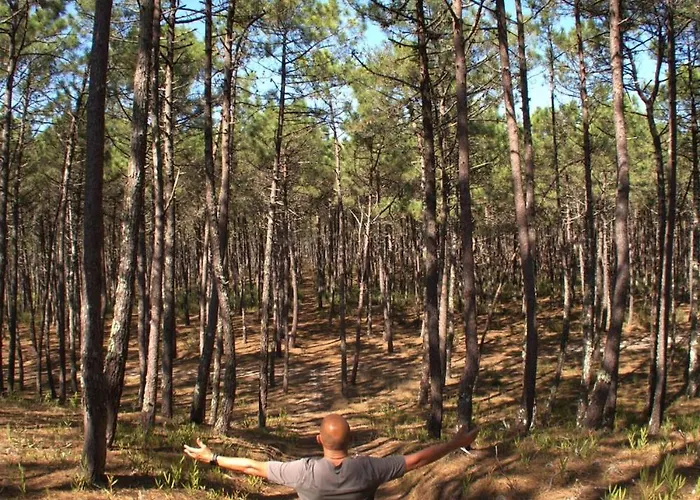 Riaencontros- T4 Junto Ria E Pinhal ヴィラ *