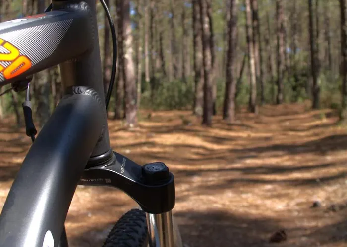 Riaencontros- T4 Junto Ria E Pinhal ヴィラ *