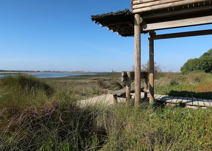 Riaencontros- T4 Junto Ria E Pinhal