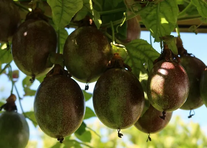 Riaencontros- T4 Junto Ria E Pinhal ヴィラ アヴェイロ