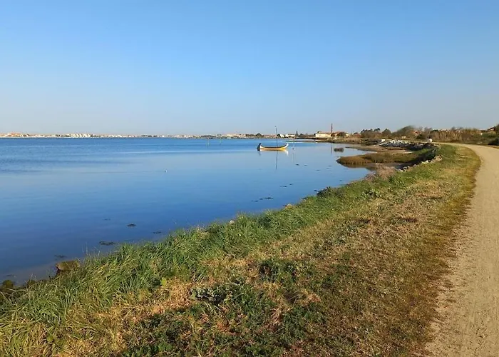 Riaencontros- T4 Junto Ria E Pinhal * アヴェイロ