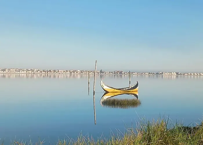 Riaencontros- T4 Junto Ria E Pinhal アヴェイロ