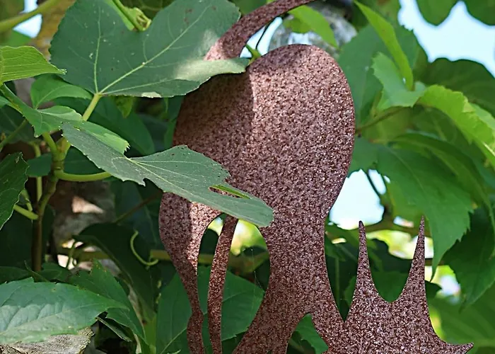 Riaencontros- T4 Junto Ria E Pinhal Aveiro