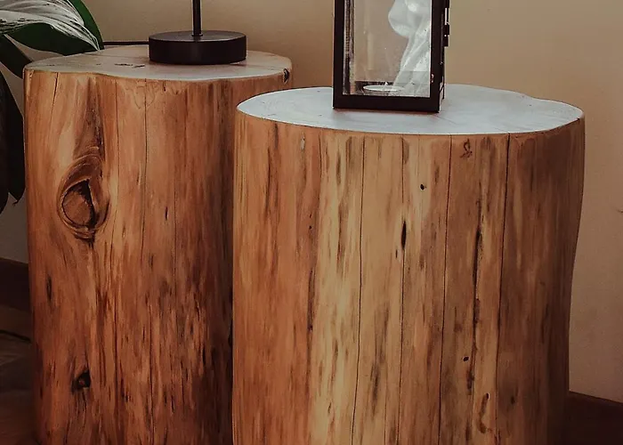 Riaencontros- T4 Junto Ria E Pinhal ヴィラ *