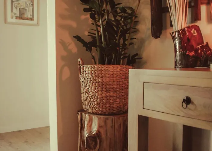 ヴィラ Riaencontros- T4 Junto Ria E Pinhal *