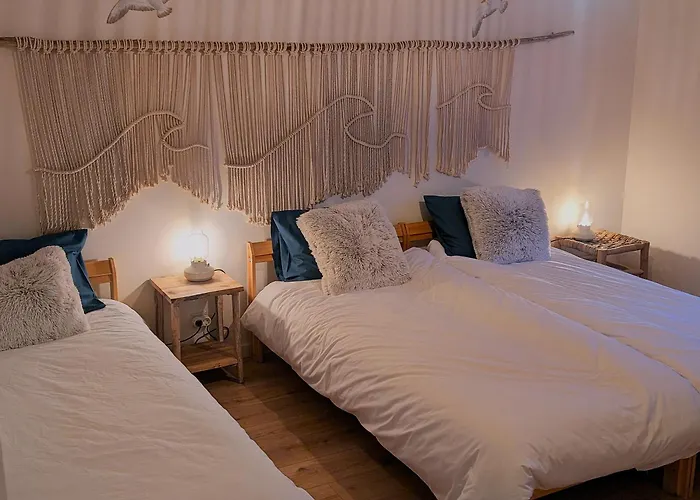 Riaencontros- T4 Junto Ria E Pinhal ヴィラ